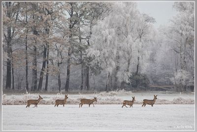_MG_0155kopie2.jpg