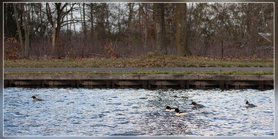 _MG_5031.jpg