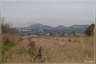 _MG_5323.jpg