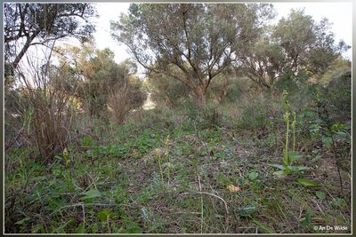 g13/36/73936/3/173421536.6a8ac288.JPEG