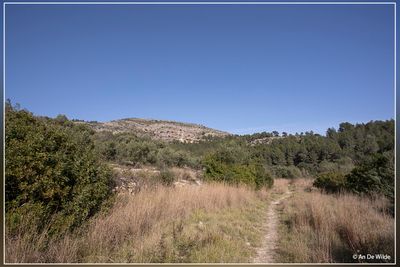 _MG_5393.jpg