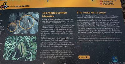 g13/36/73936/3/173440398.ba8313f3.JPEG