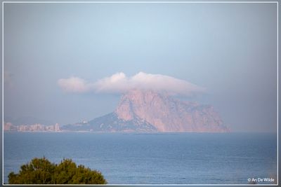 _MG_6519.jpg