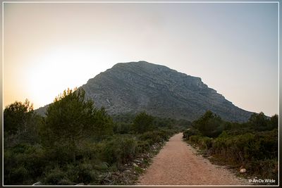 _MG_7061.jpg