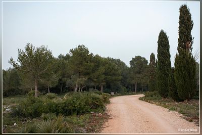 _MG_7082.jpg