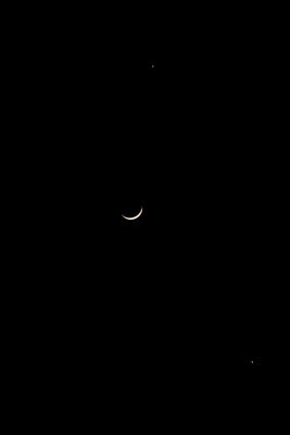 _MG_7105.jpg