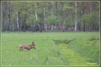 _MG_9651.jpg
