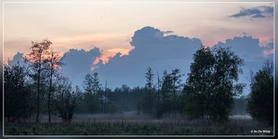 _MG_0724.jpg