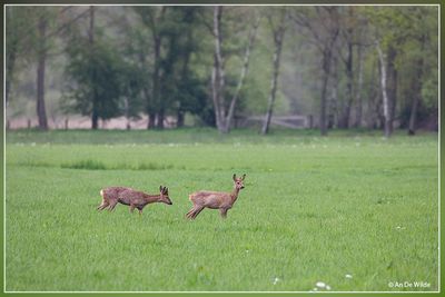 _MG_9643.jpg