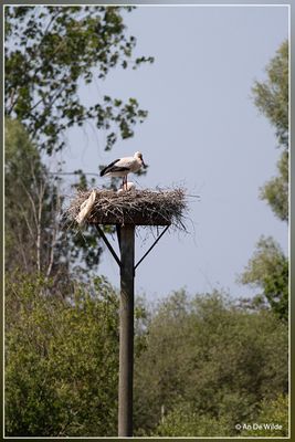 _MG_6758.jpg