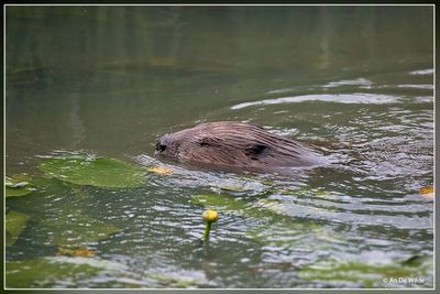 _MG_9951.jpg