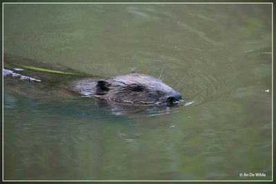 _MG_0008.jpg