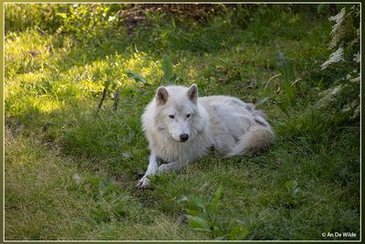 _MG_7813.jpg