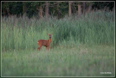 _MG_9280.jpg