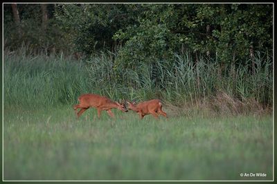 _MG_9327.jpg