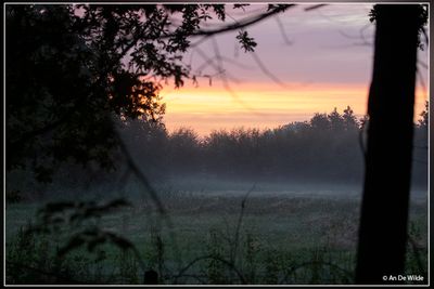 _MG_9414.jpg