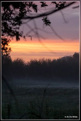 _MG_9415.jpg
