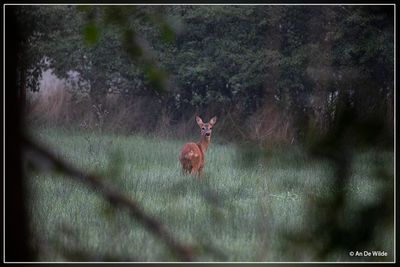 _MG_9425.jpg