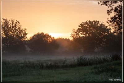 _MG_9445.jpg