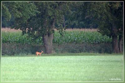 _MG_9650.jpg