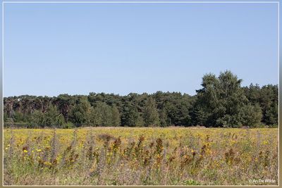 _MG_1589.jpg