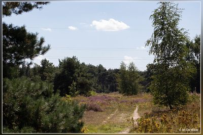 _MG_1749.jpg