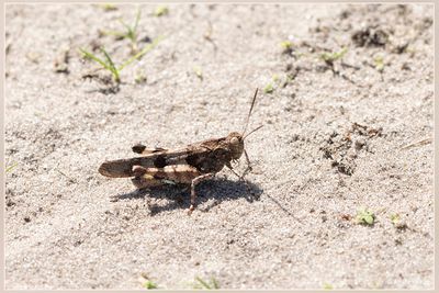_MG_1751.jpg