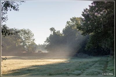 _MG_3171.jpg