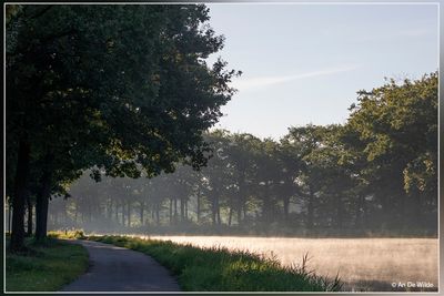 _MG_3182.jpg