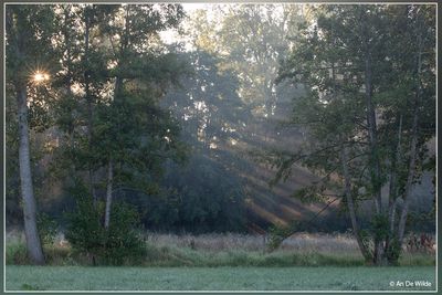 _MG_3271.jpg