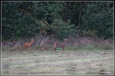 _MG_6736.jpg