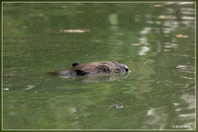 _MG_6977.jpg