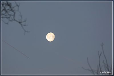 _MG_7204.jpg
