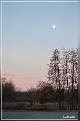 _MG_7205.jpg