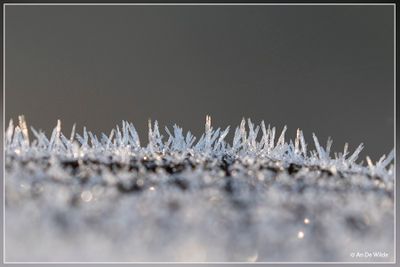 _MG_7282.jpg