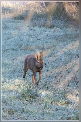 _MG_7299.jpg