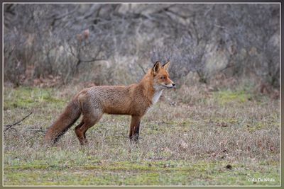 _MG_0010.jpg