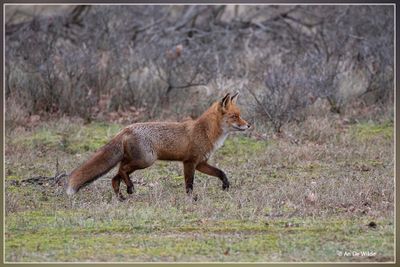 _MG_0004.jpg