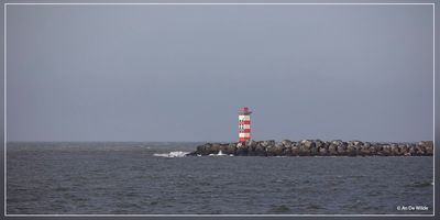 _MG_8359.jpg