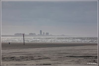_MG_8426.jpg