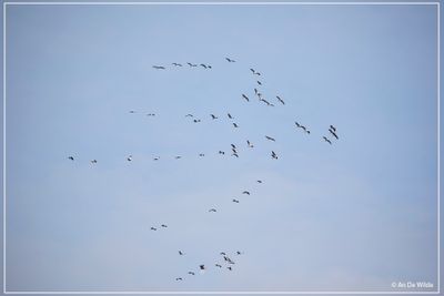 _MG_1362.jpg