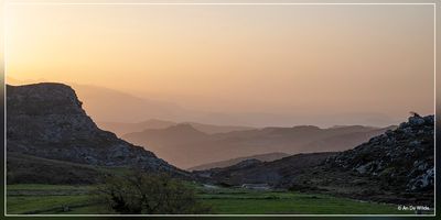 _MG_3031.jpg