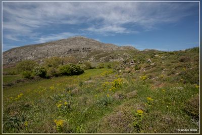 _MG_7733.jpg