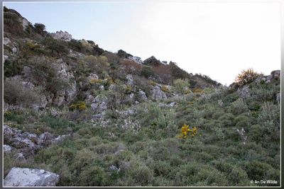 _MG_7227.jpg