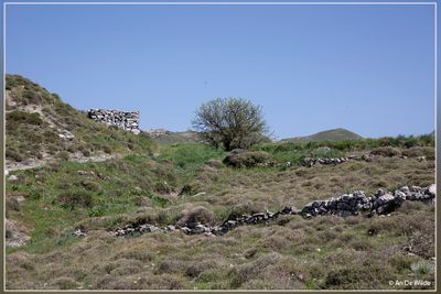 _MG_1888.jpg