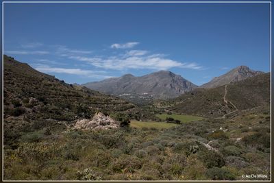 _MG_3233.jpg
