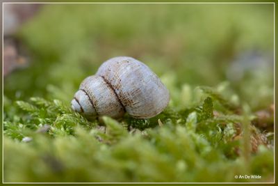 _MG_2121.jpg