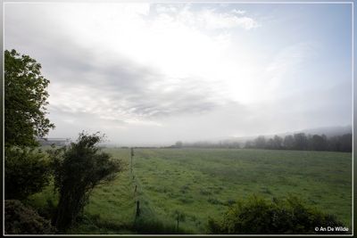 _MG_2036.jpg