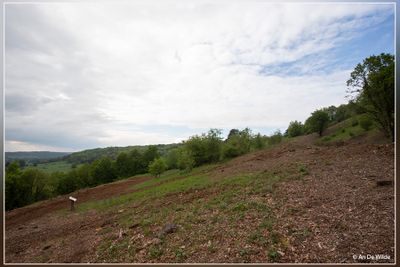 _MG_2909.jpg