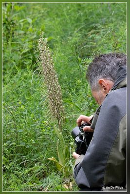 _MG_5084+5085.jpg